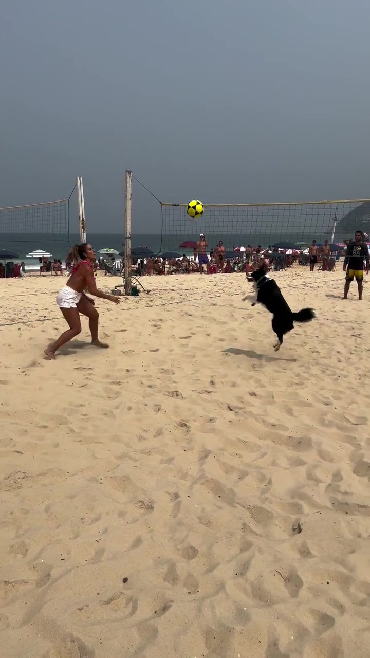 Floki lo dio todo en el voleibol 🏐👏