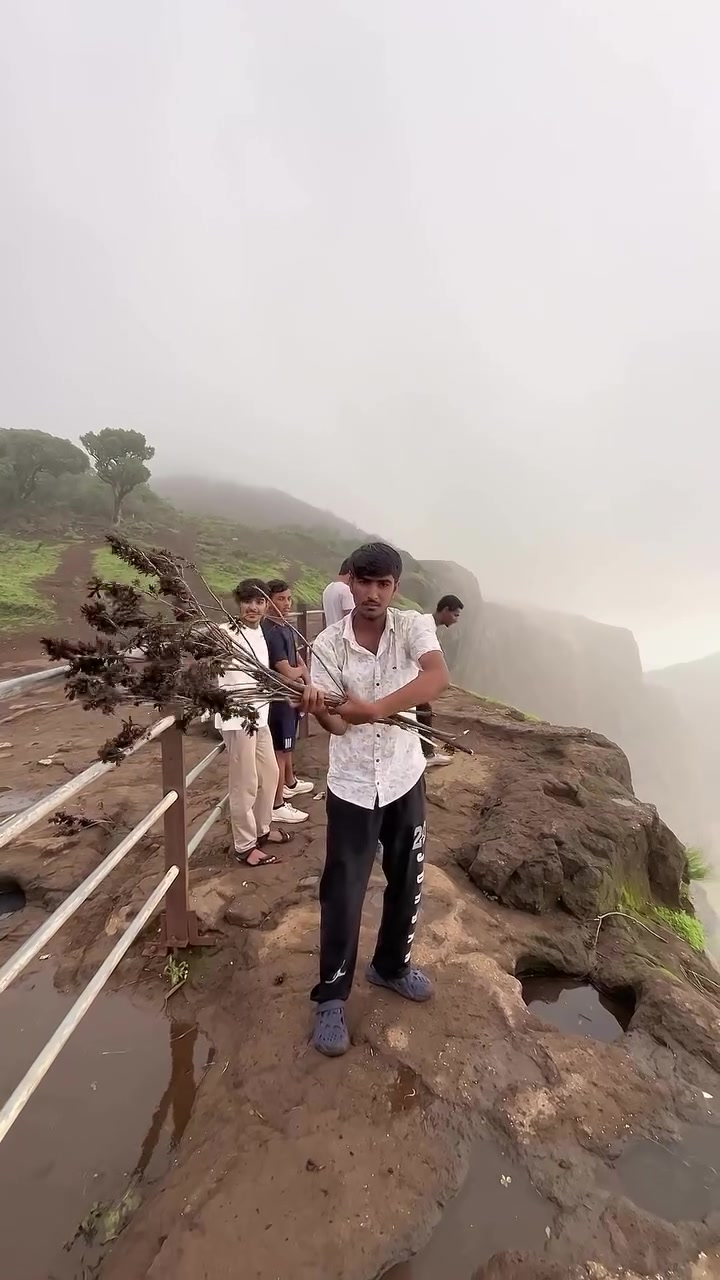 El efecto cascada inversa 🤯