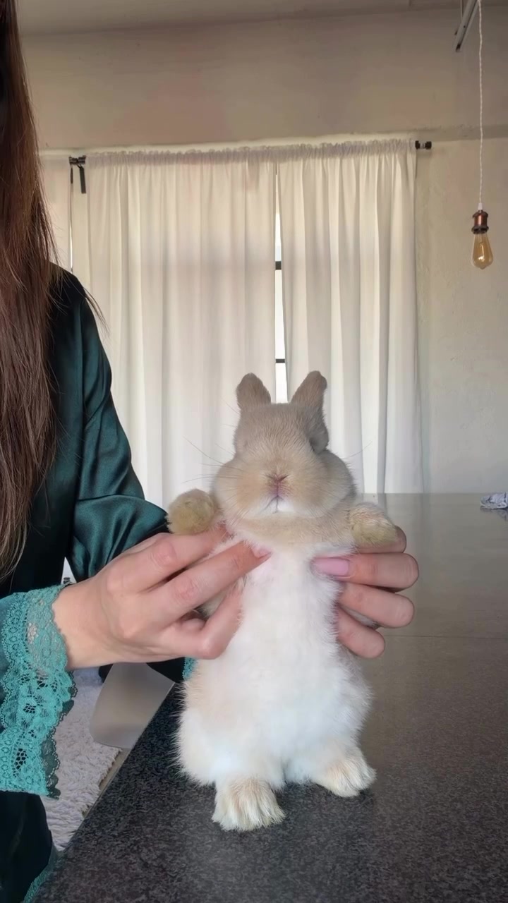 Momento viral 10s across the board con bunnydayoff