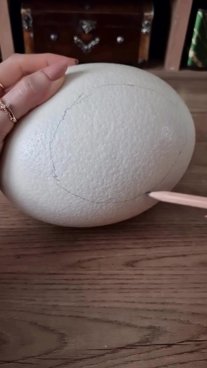 Cómo hacer arte con cáscaras de huevo paso a paso