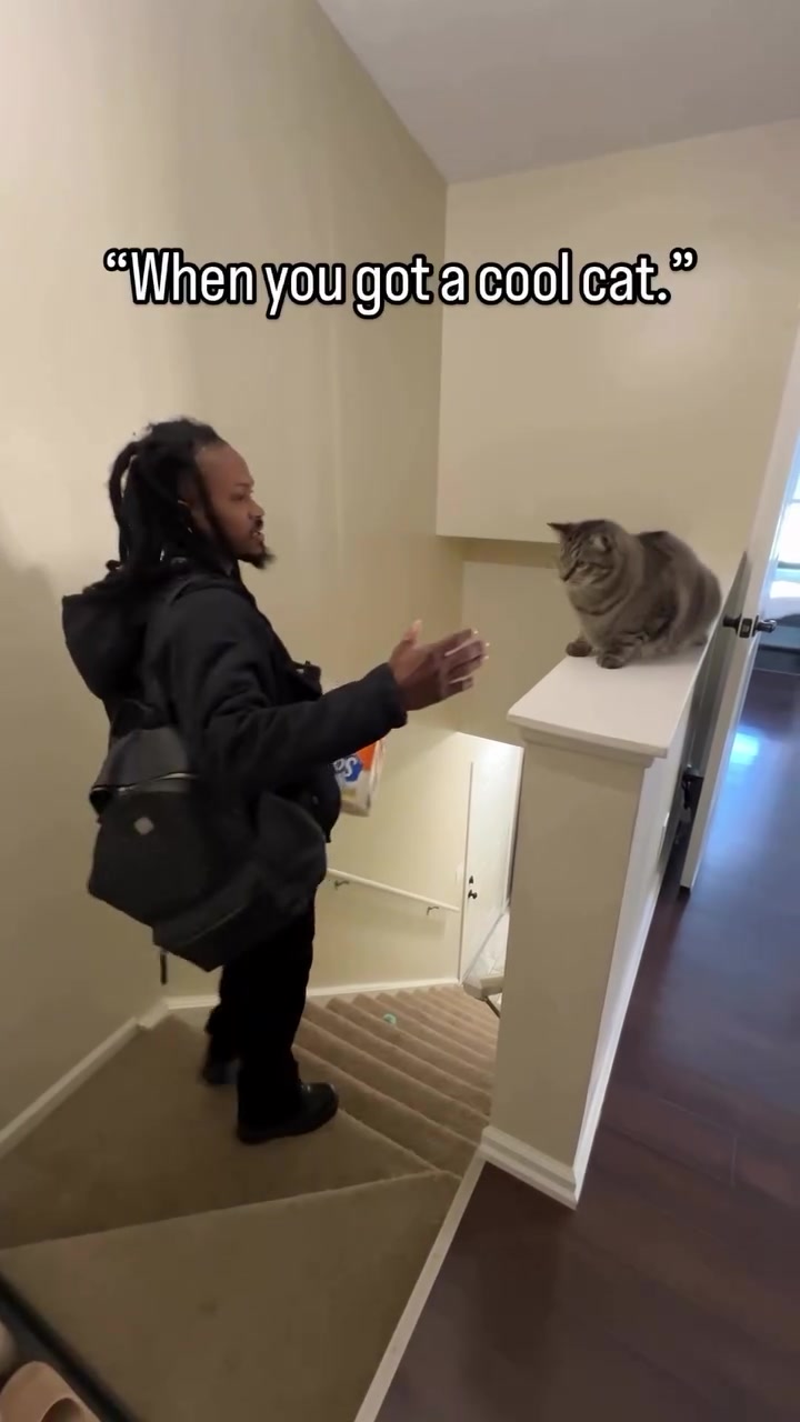 Social Cuando tienes un gato de verdad 🐈👋