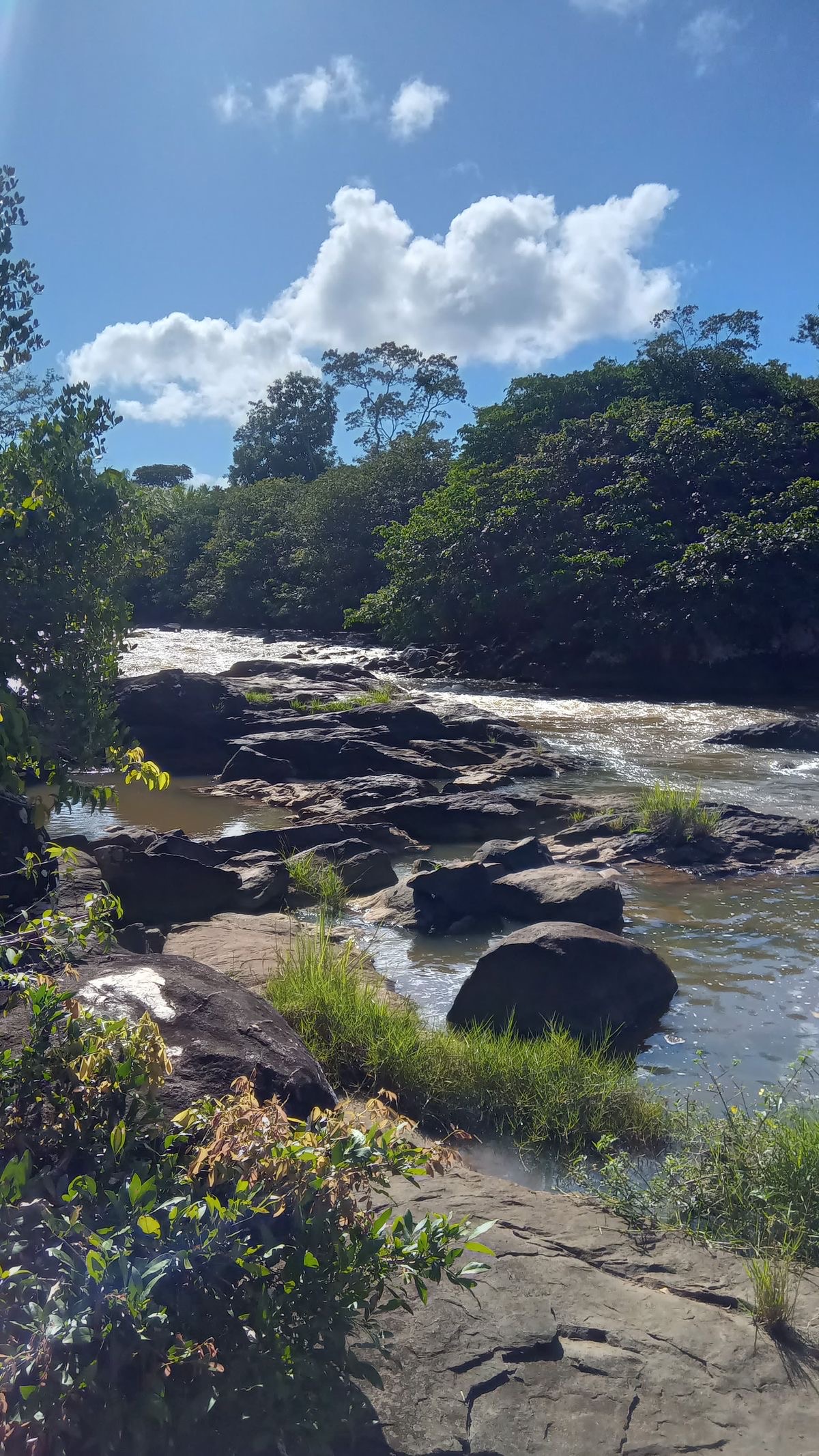 Social Se conectando com a natureza☀️