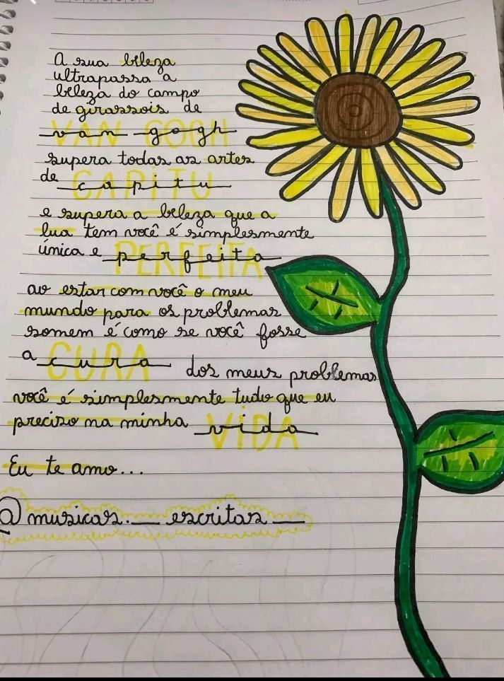 Social 🌻🌻