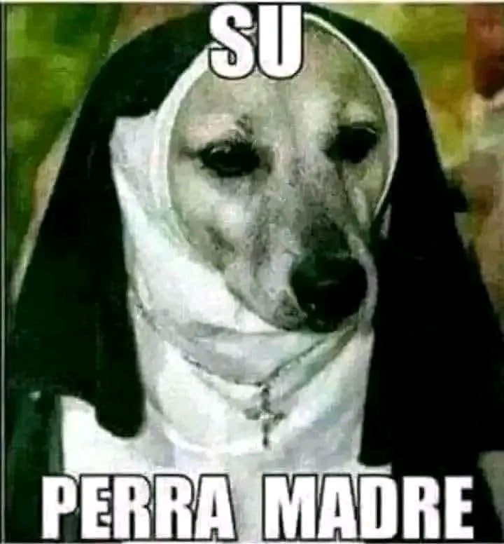 Social Me gusta la electrónica 