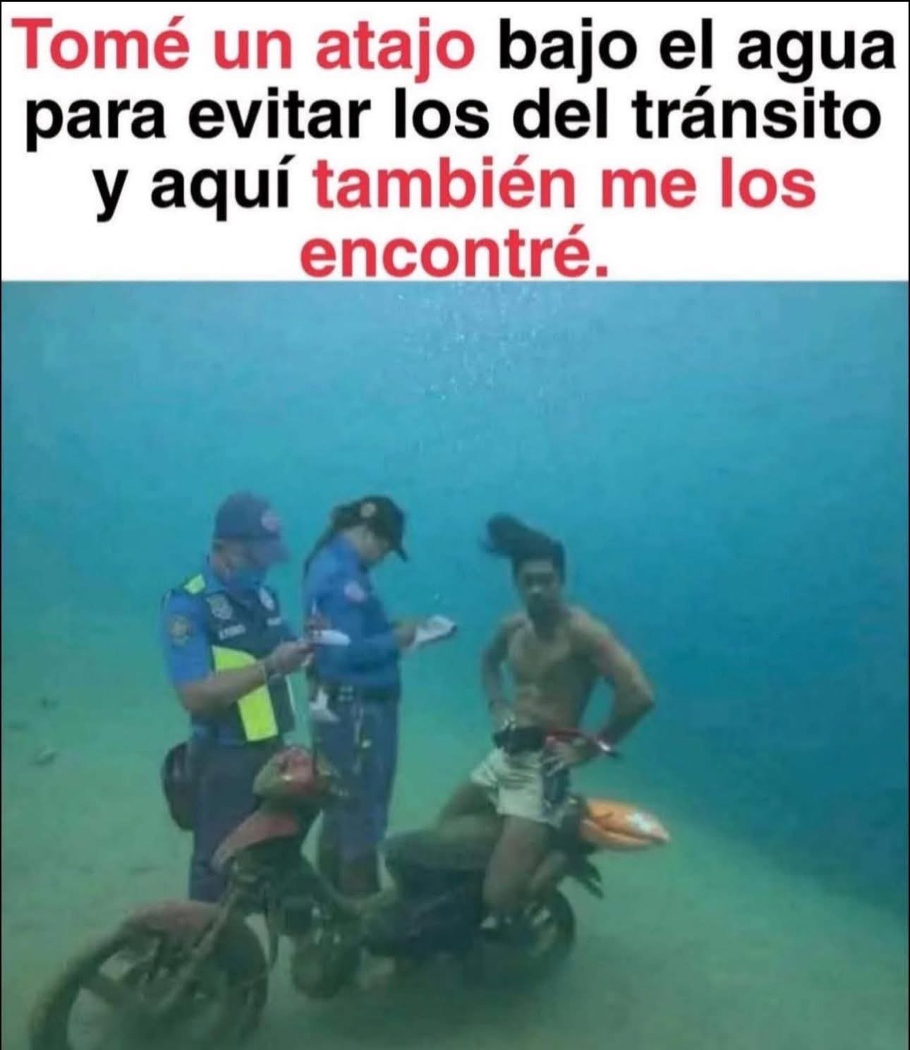 Social Moda